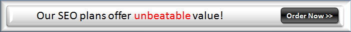 Our SEO plans offer unbeatable value!  Order Now >> 