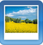 Photo Album 
